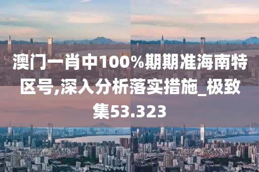 澳门一肖中100%期期准海南特区号,深入分析落实措施_极致集53.323