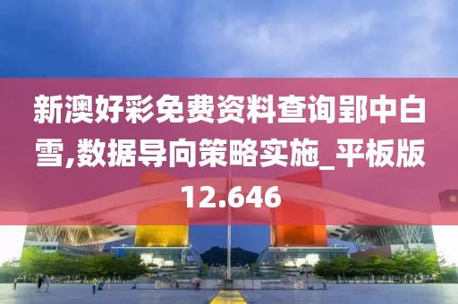 新澳好彩免费资料查询郢中白雪,数据导向策略实施_平板版12.646