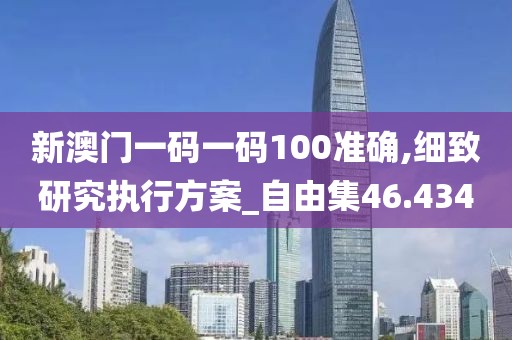 新澳门一码一码100准确,细致研究执行方案_自由集46.434