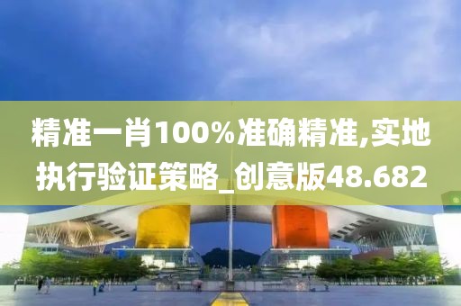 精准一肖100%准确精准,实地执行验证策略_创意版48.682