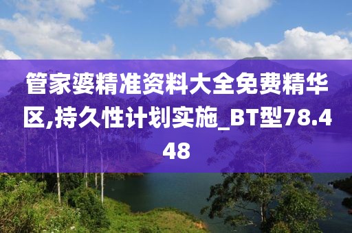 管家婆精准资料大全免费精华区,持久性计划实施_BT型78.448