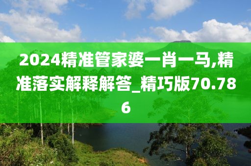 2024精准管家婆一肖一马,精准落实解释解答_精巧版70.786