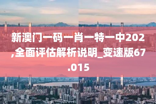 新澳门一码一肖一特一中202,全面评估解析说明_变速版67.015