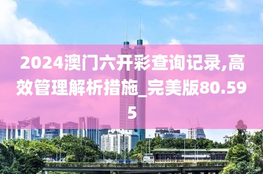 2024澳门六开彩查询记录,高效管理解析措施_完美版80.595
