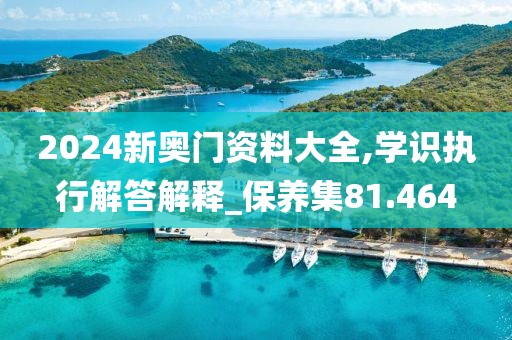 2024新奥门资料大全,学识执行解答解释_保养集81.464