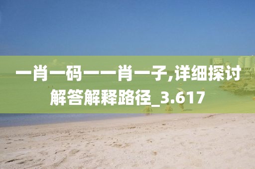 一肖一码一一肖一子,详细探讨解答解释路径_3.617
