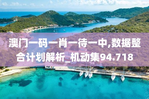 澳门一码一肖一待一中,数据整合计划解析_机动集94.718