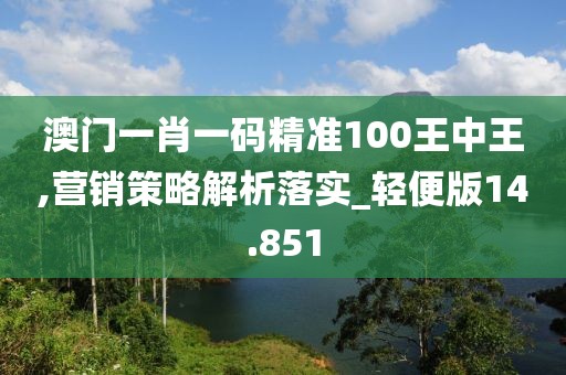 澳门一肖一码精准100王中王,营销策略解析落实_轻便版14.851