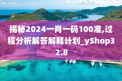 揭秘2024一肖一码100准,过程分析解答解释计划_yShop32.8