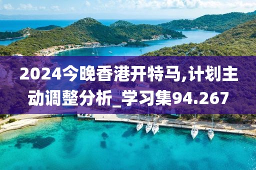 2024今晚香港开特马,计划主动调整分析_学习集94.267