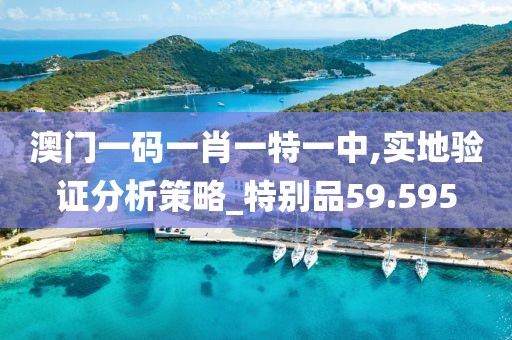澳门一码一肖一特一中,实地验证分析策略_特别品59.595