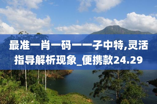 最准一肖一码一一孑中特,灵活指导解析现象_便携款24.29