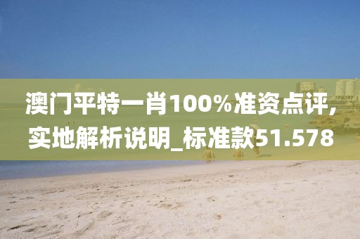 澳门平特一肖100%准资点评,实地解析说明_标准款51.578