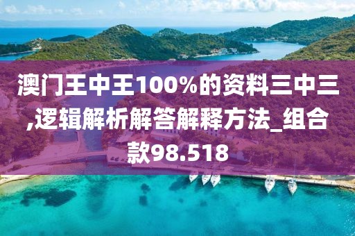 澳门王中王100%的资料三中三,逻辑解析解答解释方法_组合款98.518