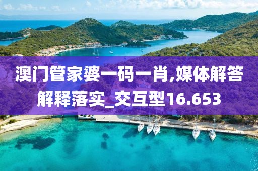 澳门管家婆一码一肖,媒体解答解释落实_交互型16.653