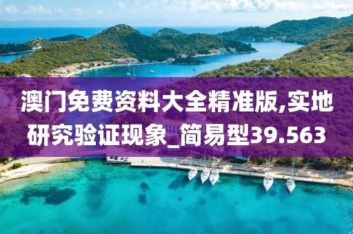 澳门免费资料大全精准版,实地研究验证现象_简易型39.563