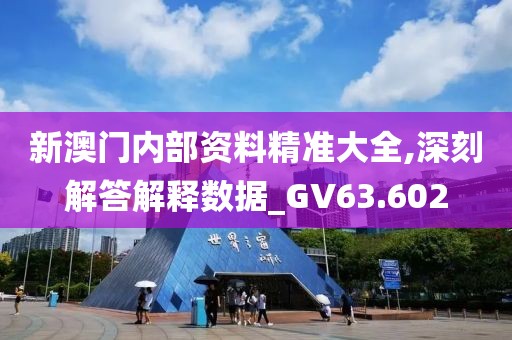 新澳门内部资料精准大全,深刻解答解释数据_GV63.602