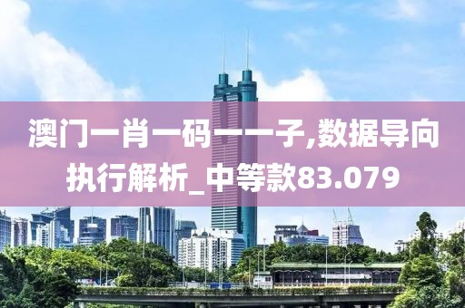 澳门一肖一码一一子,数据导向执行解析_中等款83.079