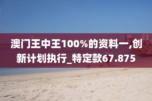 澳门王中王100%的资料一,创新计划执行_特定款67.875
