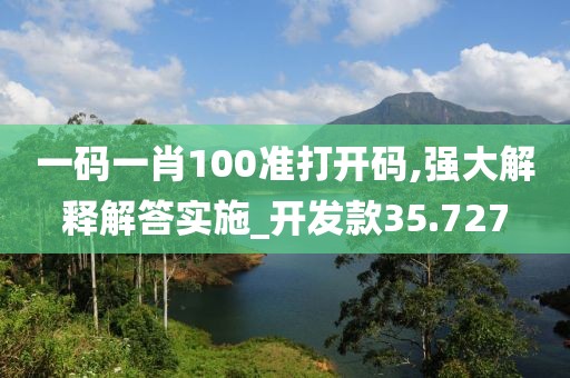 一码一肖100准打开码,强大解释解答实施_开发款35.727