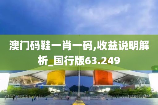 澳门码鞋一肖一码,收益说明解析_国行版63.249