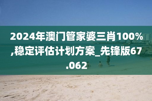 2024年澳门管家婆三肖100%,稳定评估计划方案_先锋版67.062