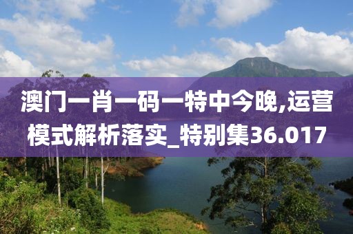 澳门一肖一码一特中今晚,运营模式解析落实_特别集36.017