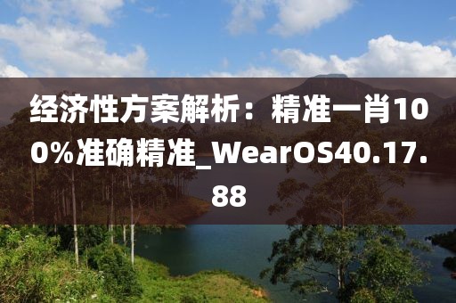 经济性方案解析：精准一肖100%准确精准_WearOS40.17.88