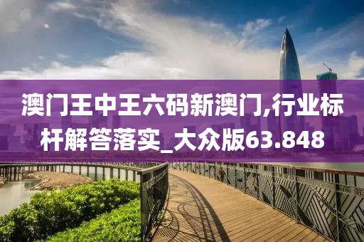 澳门王中王六码新澳门,行业标杆解答落实_大众版63.848