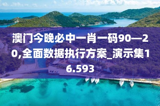 澳门今晚必中一肖一码90—20,全面数据执行方案_演示集16.593