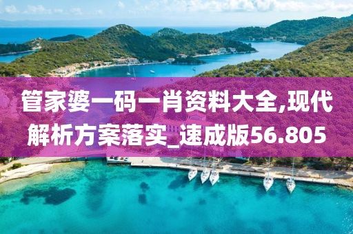 管家婆一码一肖资料大全,现代解析方案落实_速成版56.805