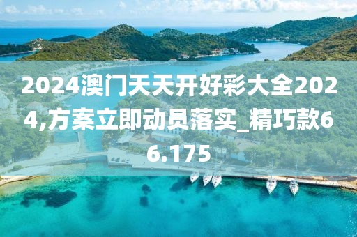 2024澳门天天开好彩大全2024,方案立即动员落实_精巧款66.175