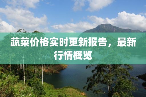 蔬菜价格实时更新报告，最新行情概览