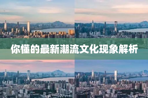 你懂的最新潮流文化现象解析