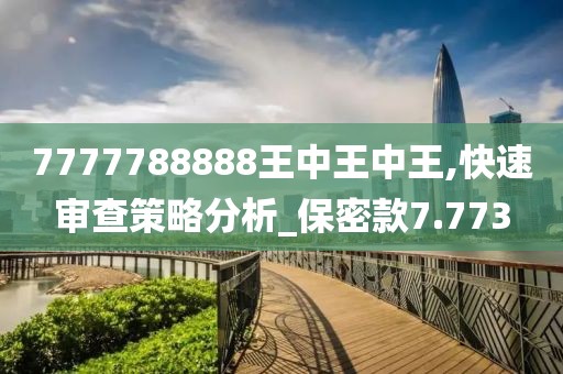 7777788888王中王中王,快速审查策略分析_保密款7.773
