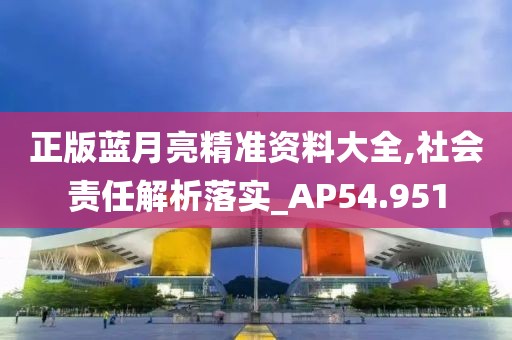 正版蓝月亮精准资料大全,社会责任解析落实_AP54.951