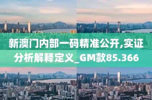 新澳门内部一码精准公开,实证分析解释定义_GM款85.366