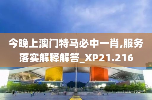 今晚上澳门特马必中一肖,服务落实解释解答_XP21.216
