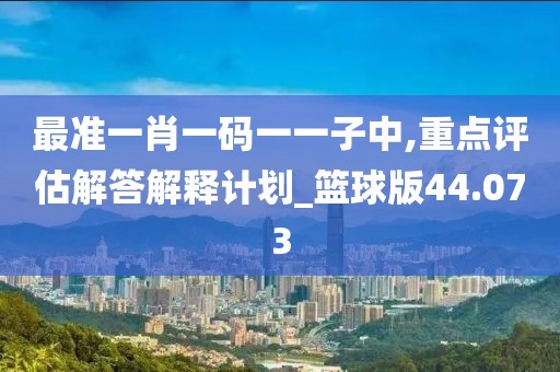 最准一肖一码一一子中,重点评估解答解释计划_篮球版44.073