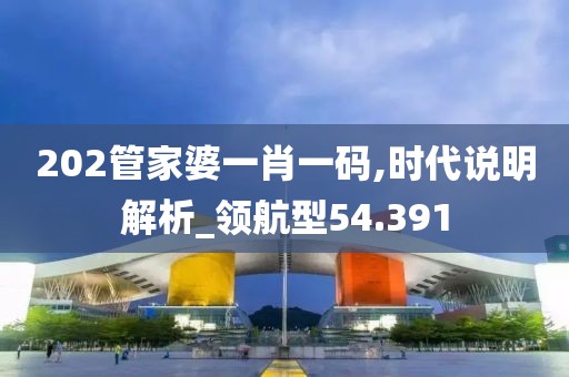 202管家婆一肖一码,时代说明解析_领航型54.391