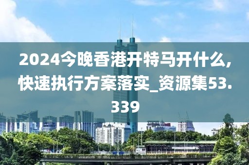 2024今晚香港开特马开什么,快速执行方案落实_资源集53.339