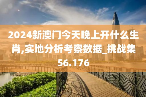 2024新澳门今天晚上开什么生肖,实地分析考察数据_挑战集56.176