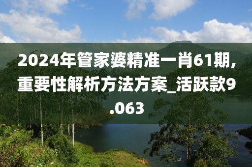 2024年管家婆精准一肖61期,重要性解析方法方案_活跃款9.063