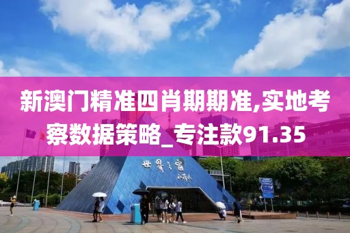 新澳门精准四肖期期准,实地考察数据策略_专注款91.35