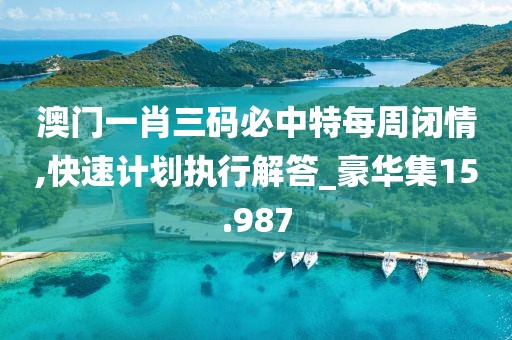 澳门一肖三码必中特每周闭情,快速计划执行解答_豪华集15.987