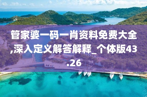 管家婆一码一肖资料免费大全,深入定义解答解释_个体版43.26