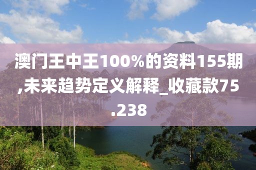澳门王中王100%的资料155期,未来趋势定义解释_收藏款75.238