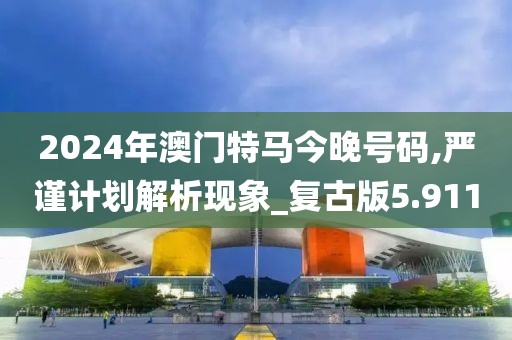 2024年澳门特马今晚号码,严谨计划解析现象_复古版5.911