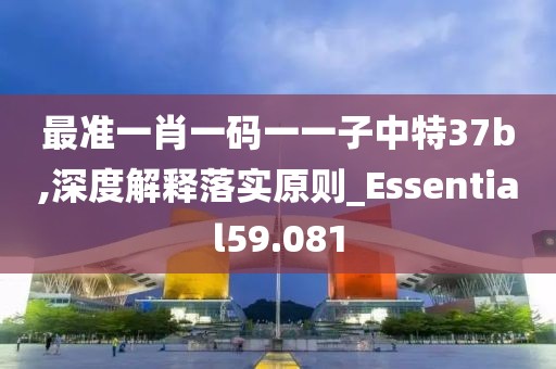 最准一肖一码一一子中特37b,深度解释落实原则_Essential59.081