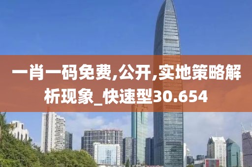 一肖一码免费,公开,实地策略解析现象_快速型30.654